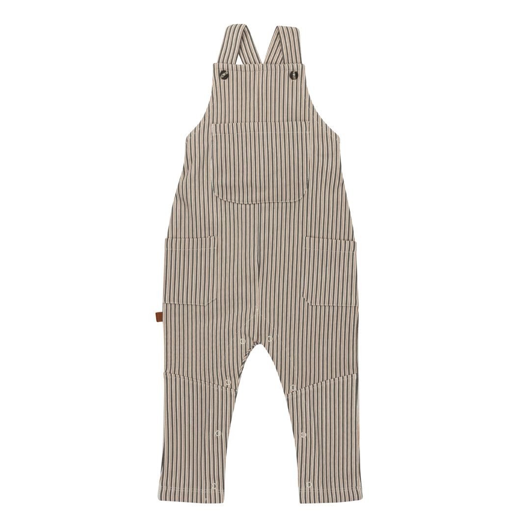 Frogs & Dogs Dungaree Stripes
