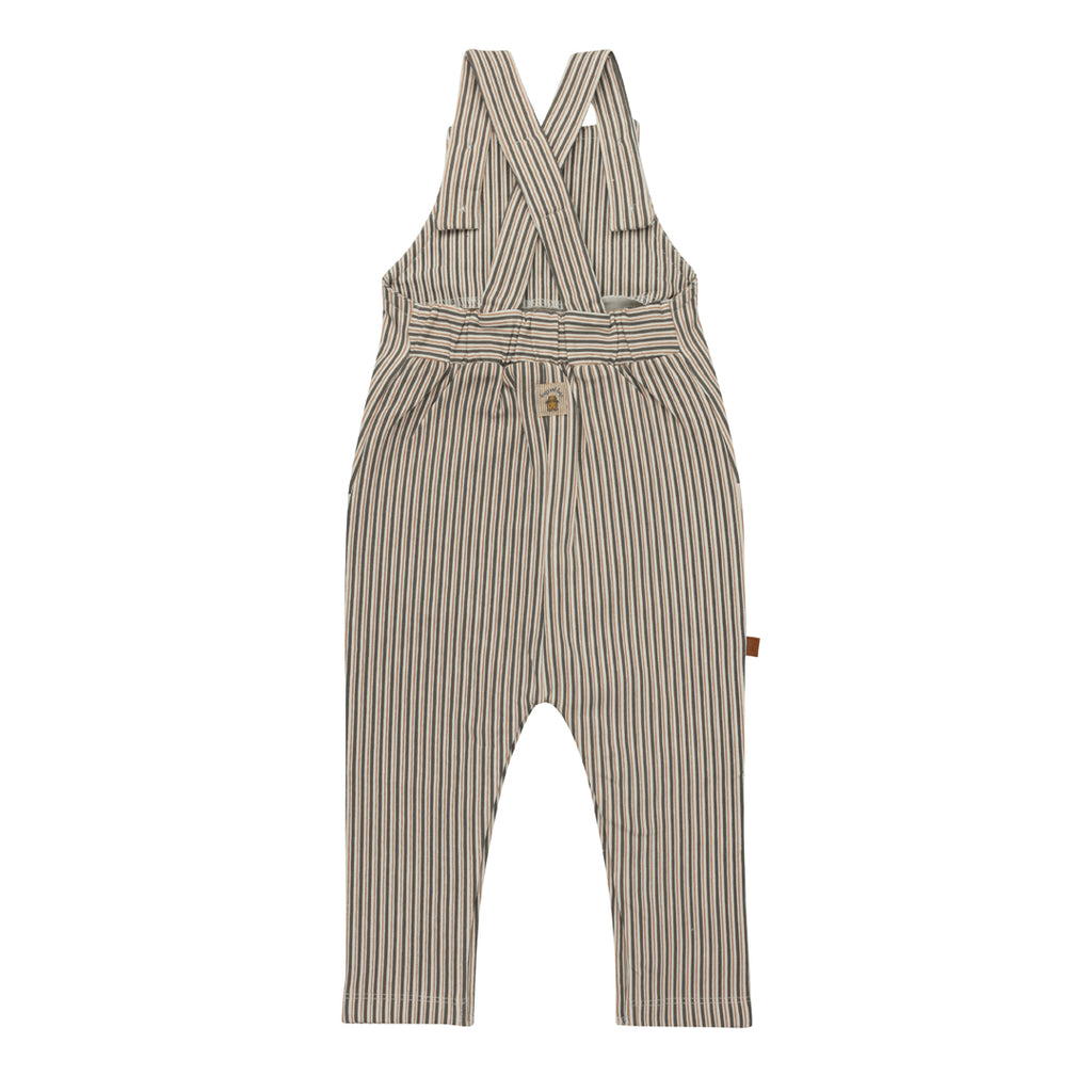 Frogs & Dogs Dungaree Stripes