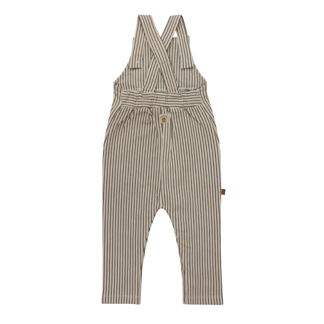 Frogs & Dogs Dungaree Stripes
