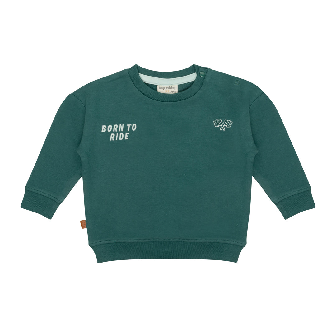 Frogs & Dogs Sweater Flag