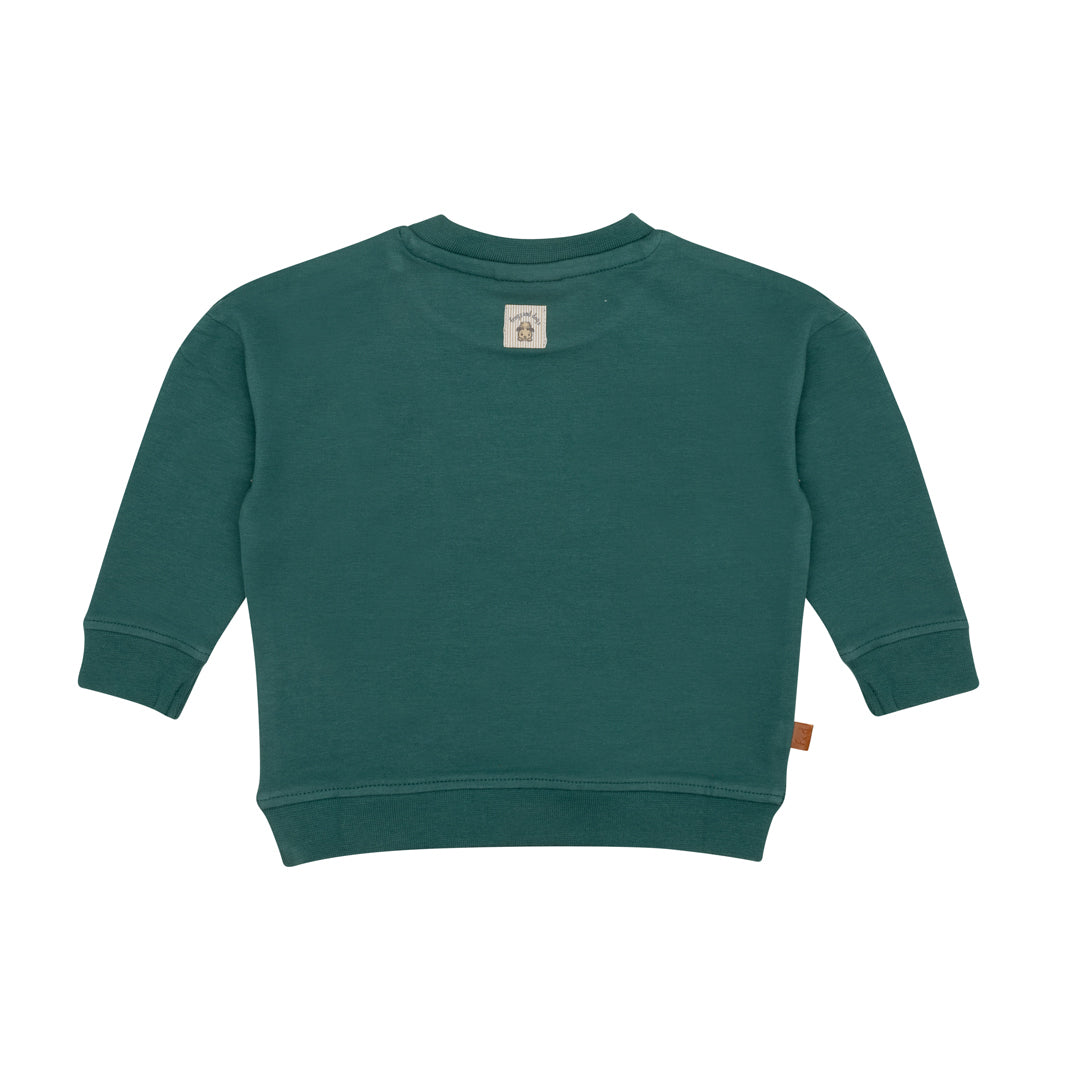 Frogs & Dogs Sweater Flag