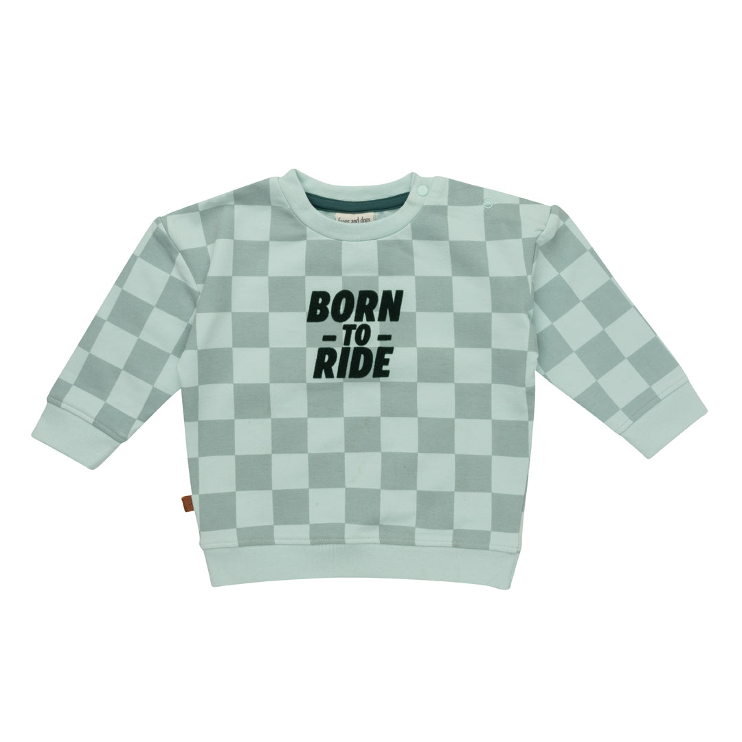 Frogs & Dogs Sweater Born to Ride