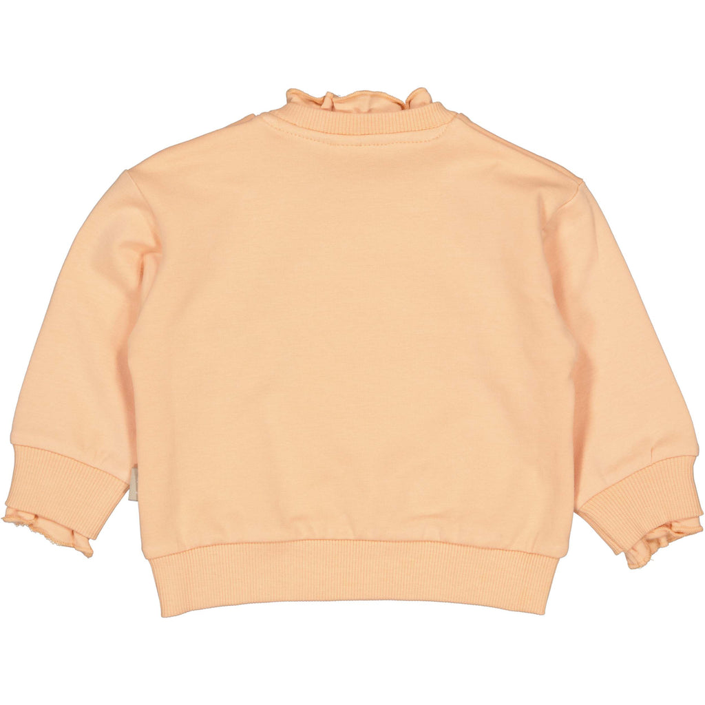 QPI Sweater Olsa