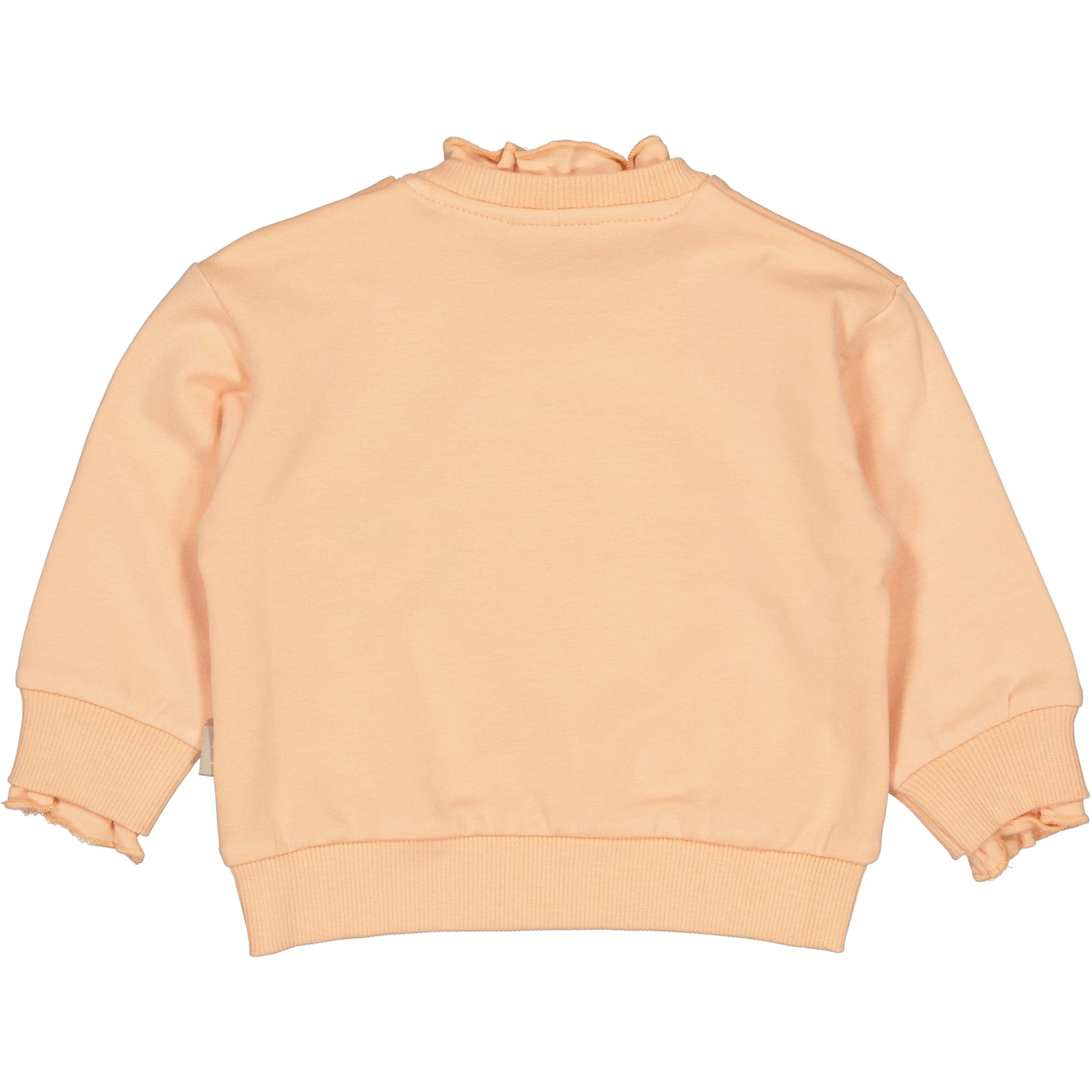 QPI Sweater Olsa