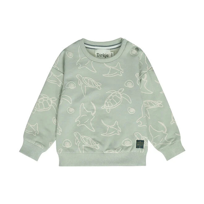 Dirkje Sweater Turtle